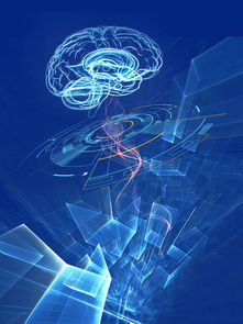 你的大腦是我的游樂場