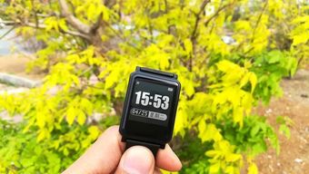 有了這些科技產品，你絕對瘦得起！